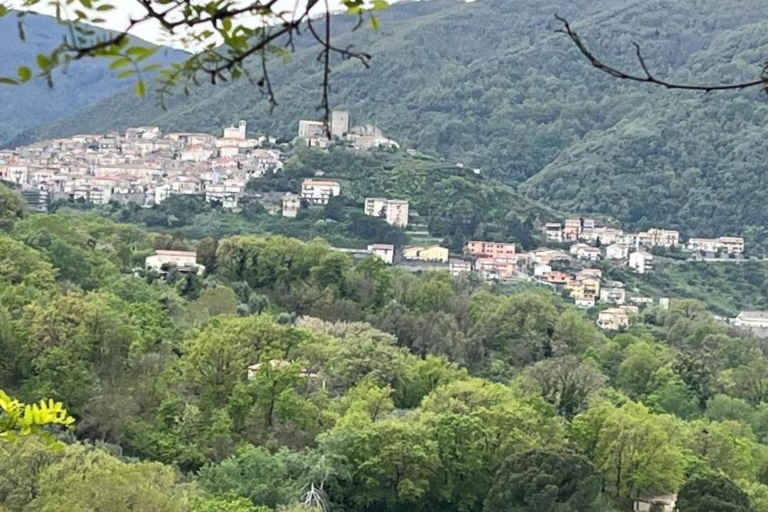 Photo of Others in Malvito
