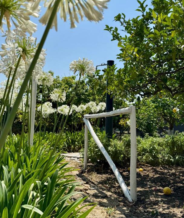 Photo of Outdoor in Menfi