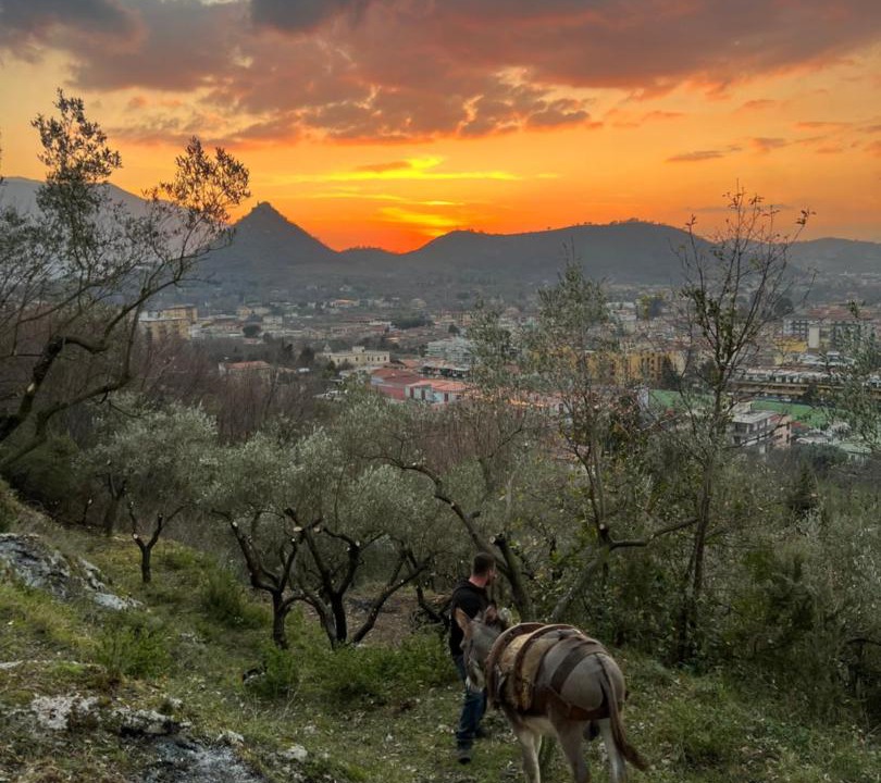 Photo of Others in Roccapiemonte