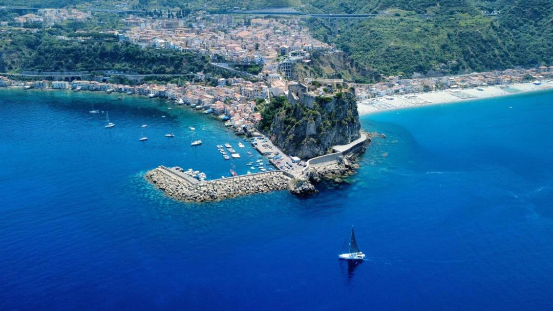 Photo of Others in Scilla