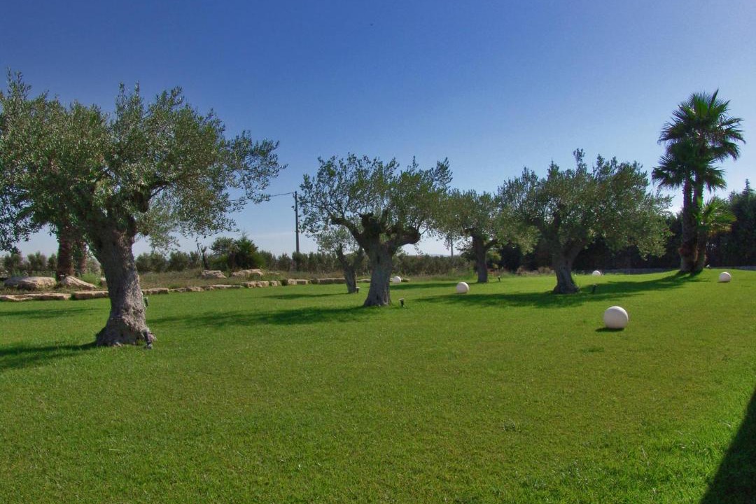 Photo of Others in Ragusa