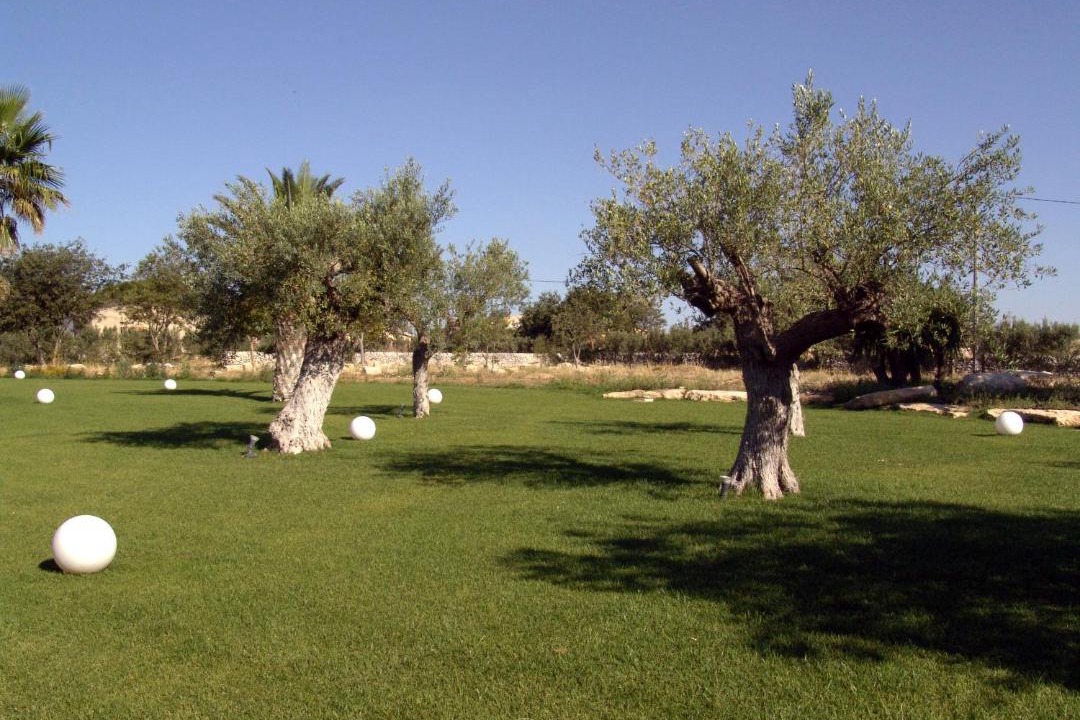Photo of Others in Ragusa