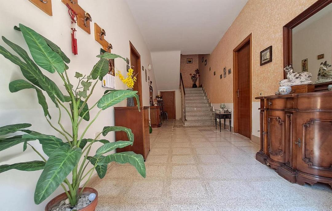 Photo of Others in Senerchia