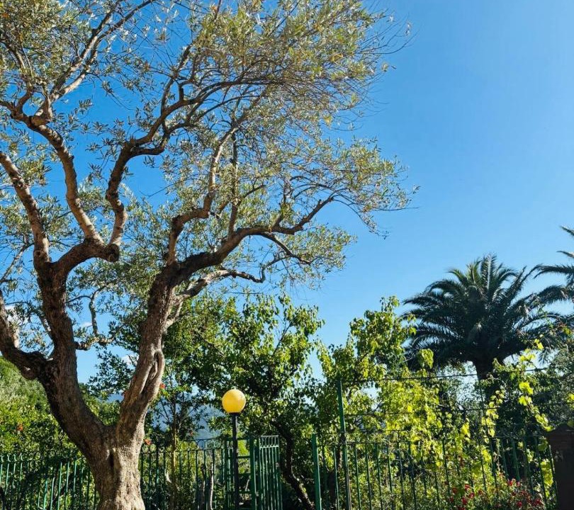 Photo of Outdoor in Santo Stefano del Sole