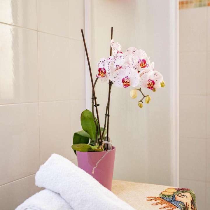 Photo of Bathroom in Villagonia