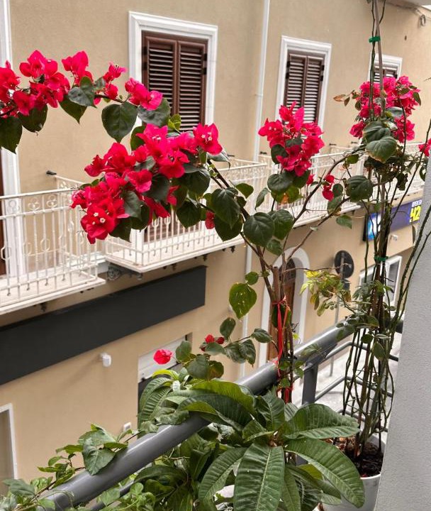 Photo of Patio Balcony in Sant'Agata di Militello