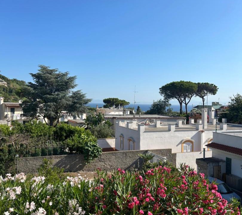 Photo of Others in Ischia Porto
