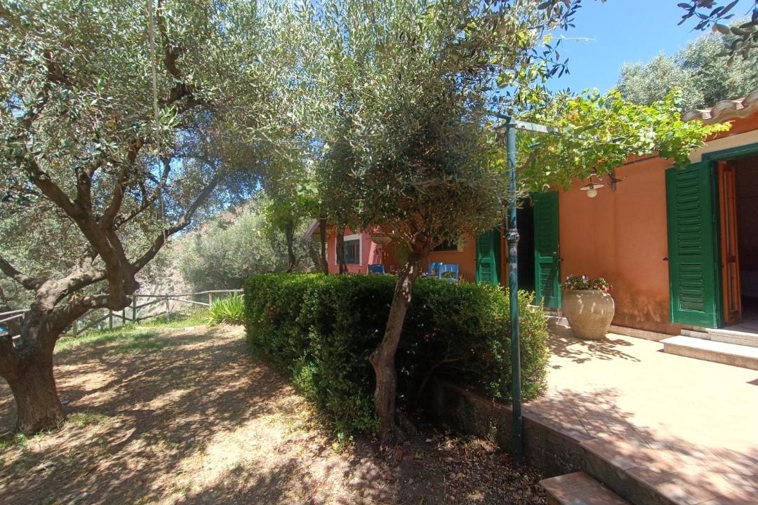 Photo of Others in Coccorino