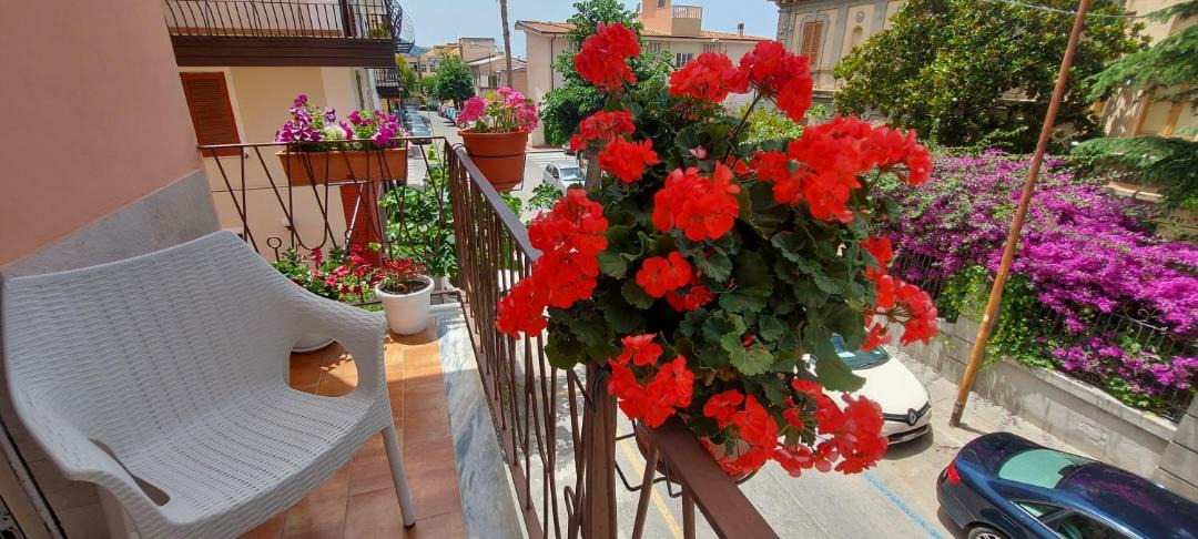 Photo of Others in Tropea