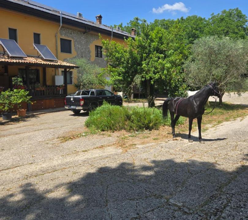 Photo of Others in Avellino