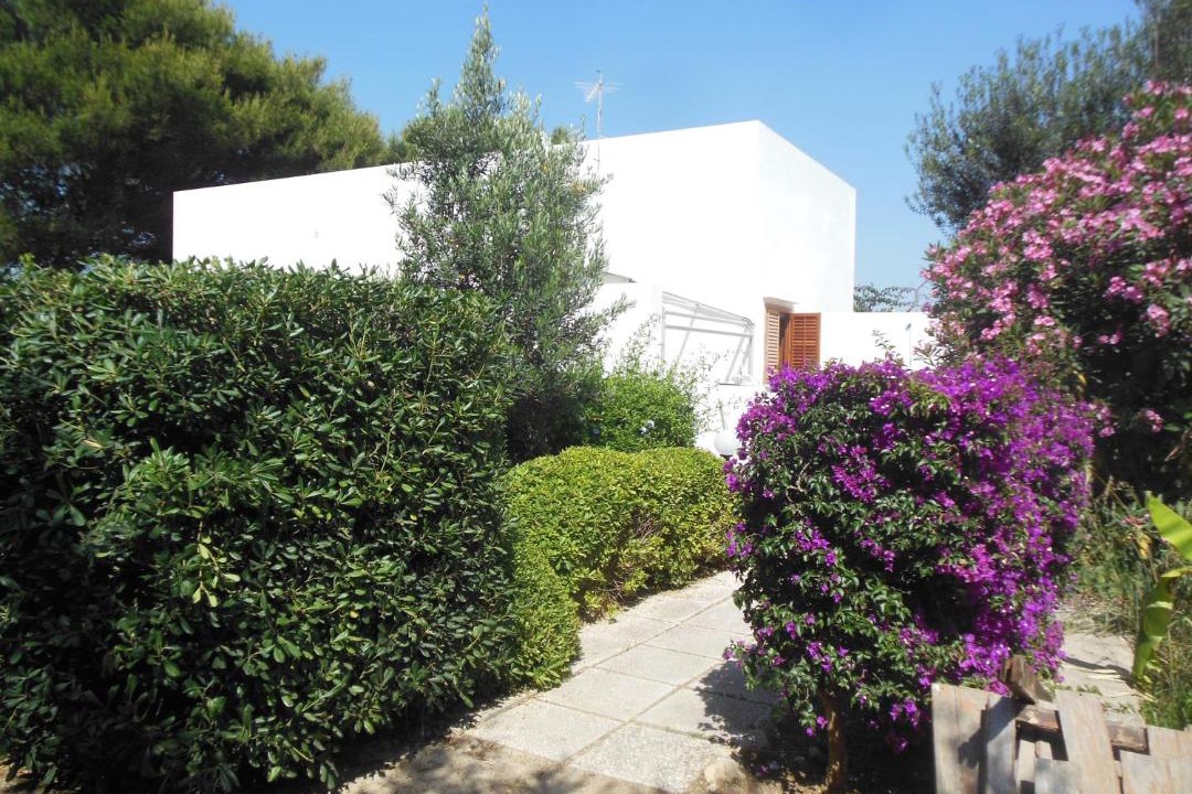 Photo of Others in Favignana