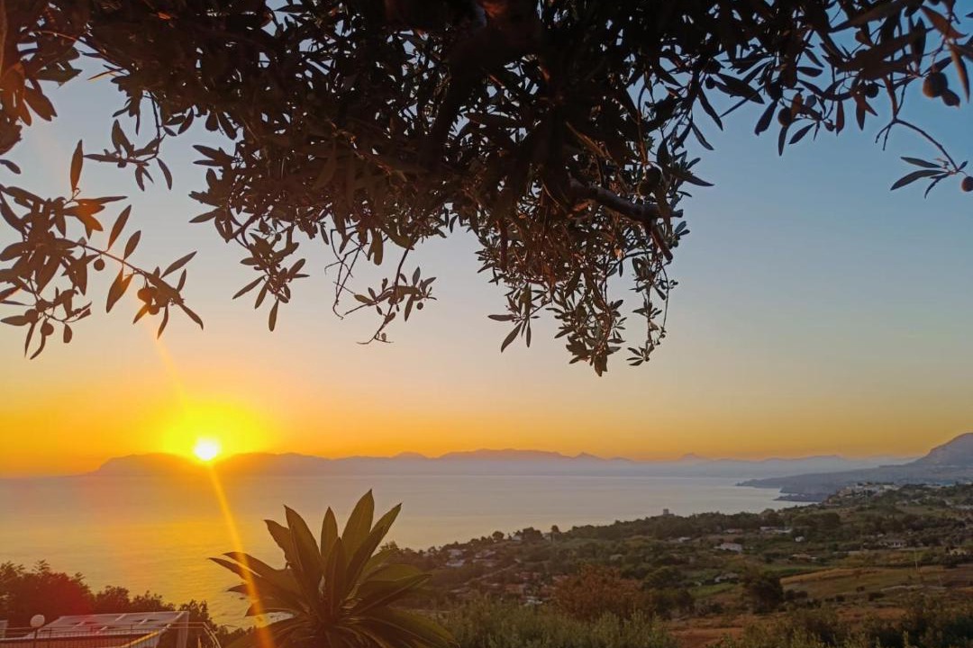 Photo of Others in Scopello