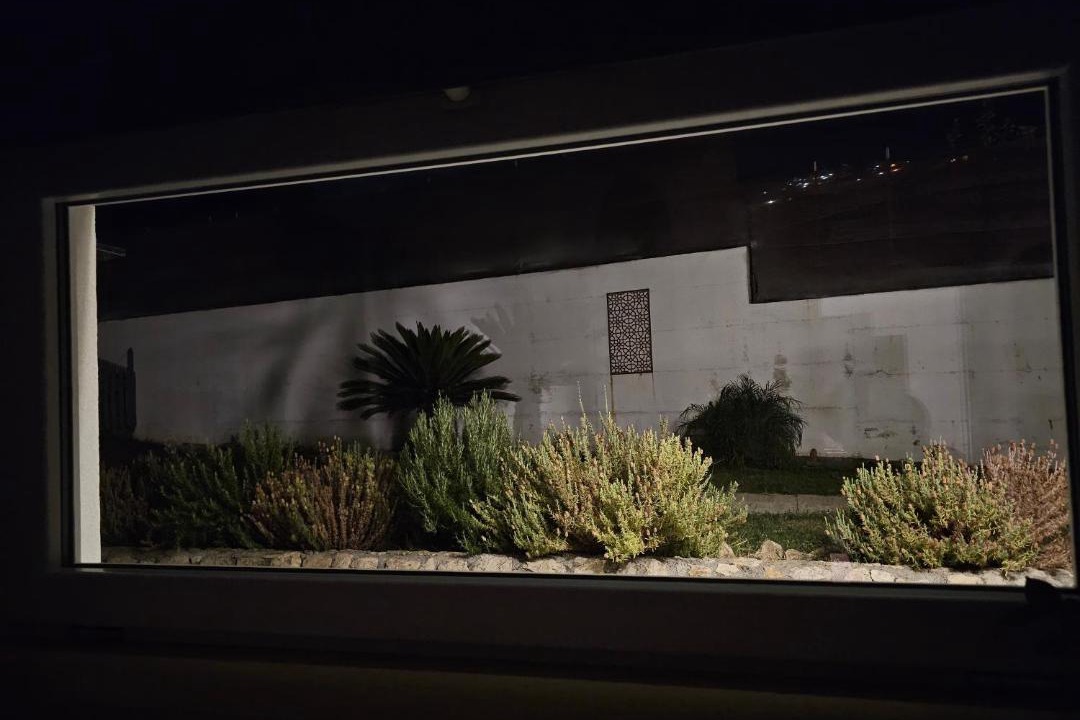 Photo of Others in Torrenova