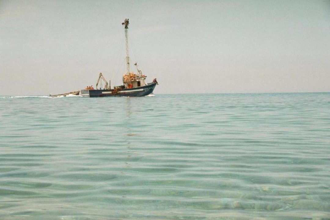 Photo of Human In Picture in Misilmeri