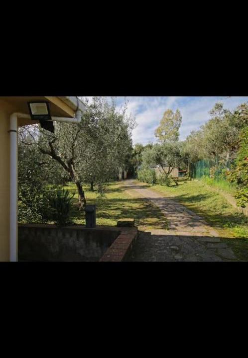Photo of Others in Collesano