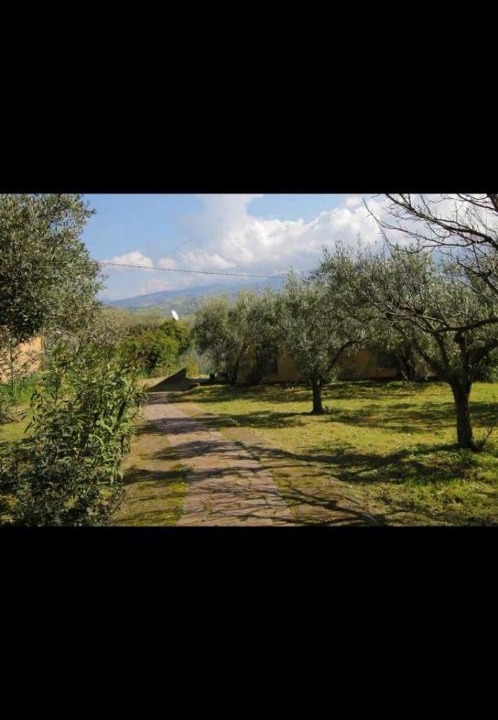 Photo of Others in Collesano