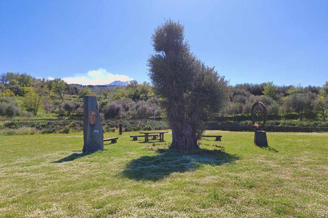 Photo of Others in Rovittello