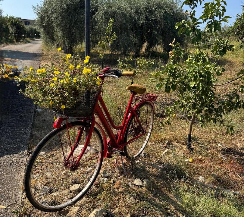 Photo of Others in Campofelice di Roccella