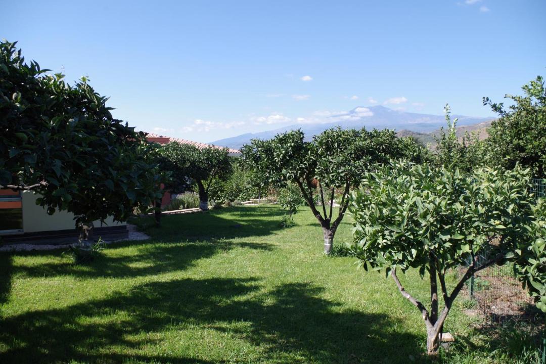 Photo of Others in Trappitello
