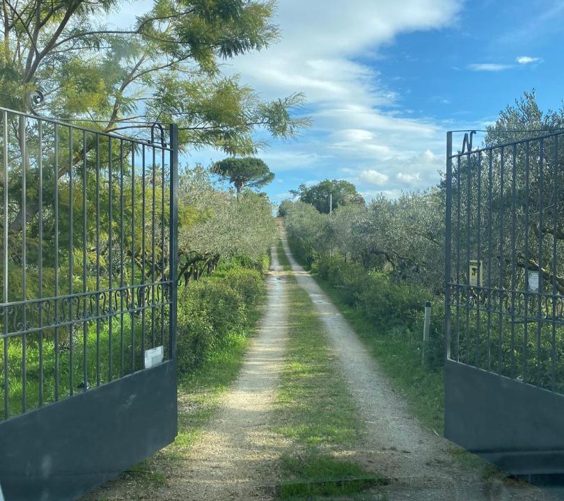 Photo of Others in Partinico