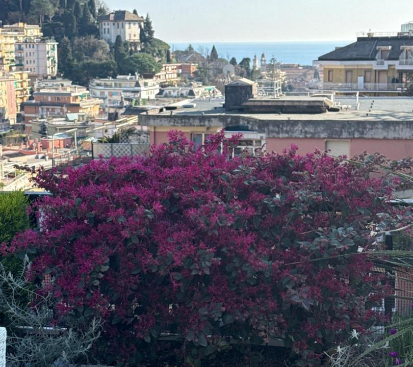 Photo of Others in Rapallo