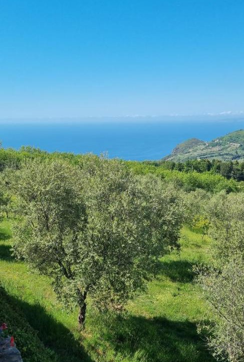 Photo of Others in Bagnara Calabra