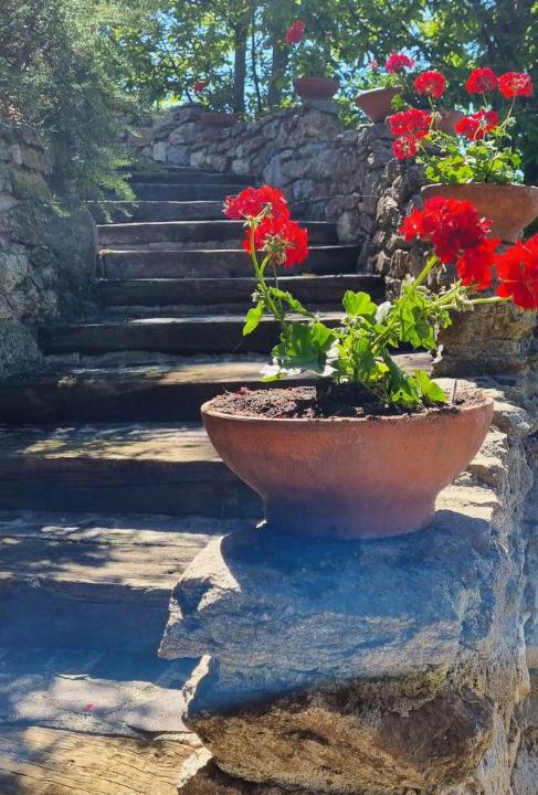 Photo of Others in Bagnara Calabra