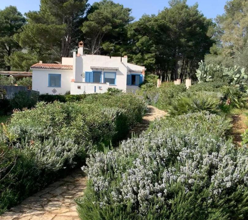 Photo of Others in San Vito Lo Capo