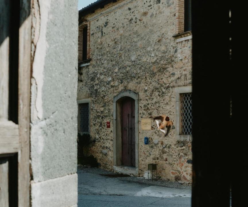 Photo of Others in Santa Cristina d'Aspromonte