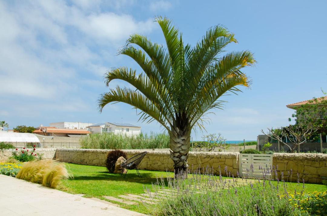 Photo of Others in Punta Braccetto