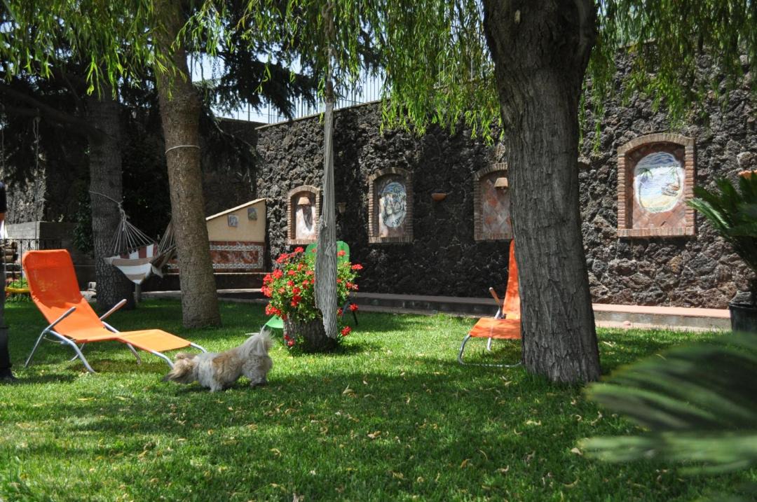 Photo of Others in Santa Venerina