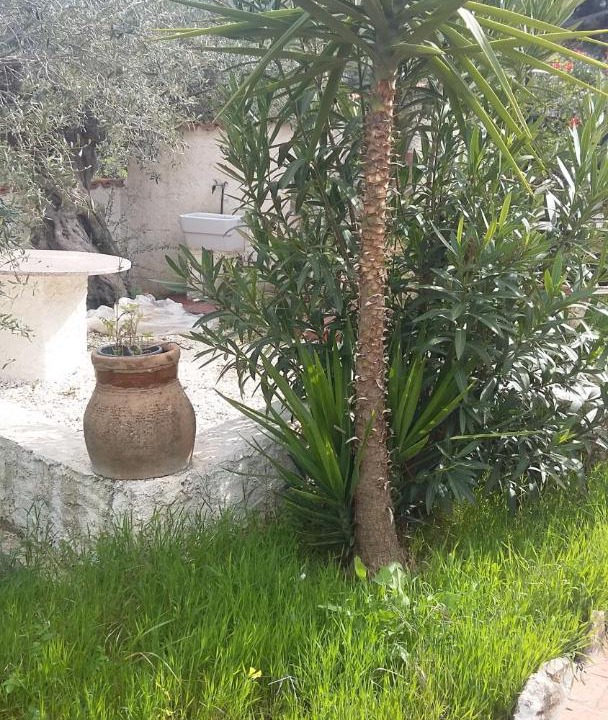 Photo of Others in Sciacca