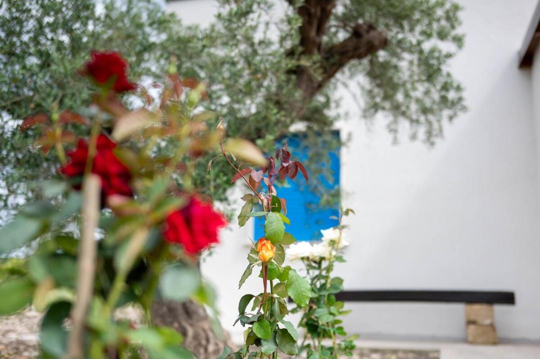 Photo of Others in Borgo Bonsignore