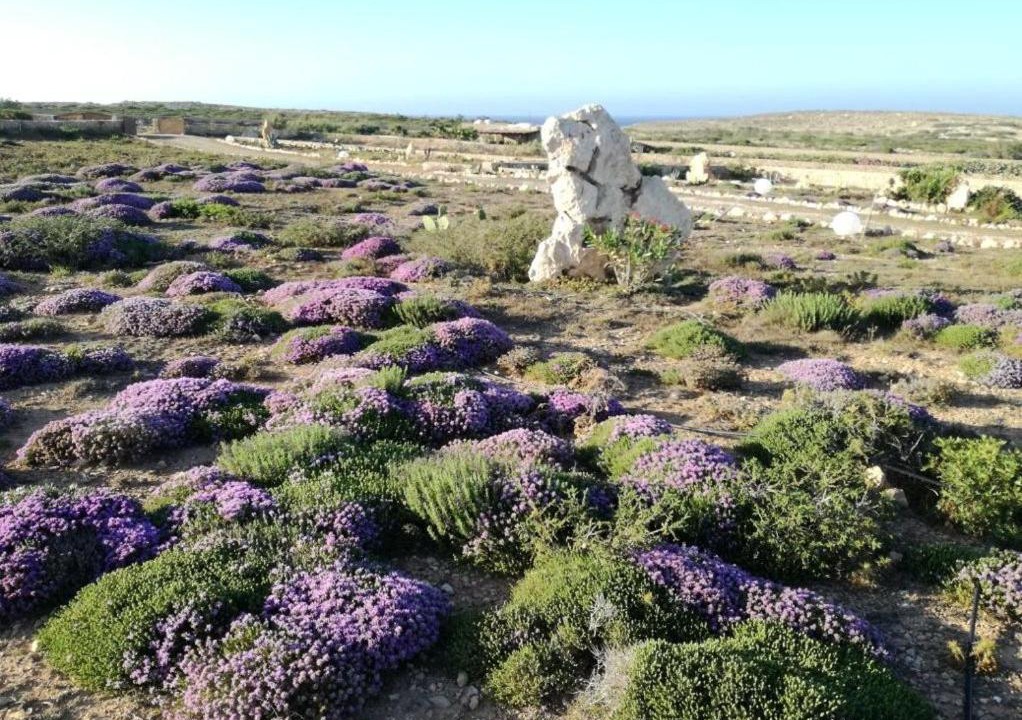 Photo of Others in Lampedusa