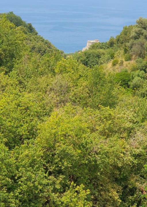 Photo of Others in San Nicola Arcella