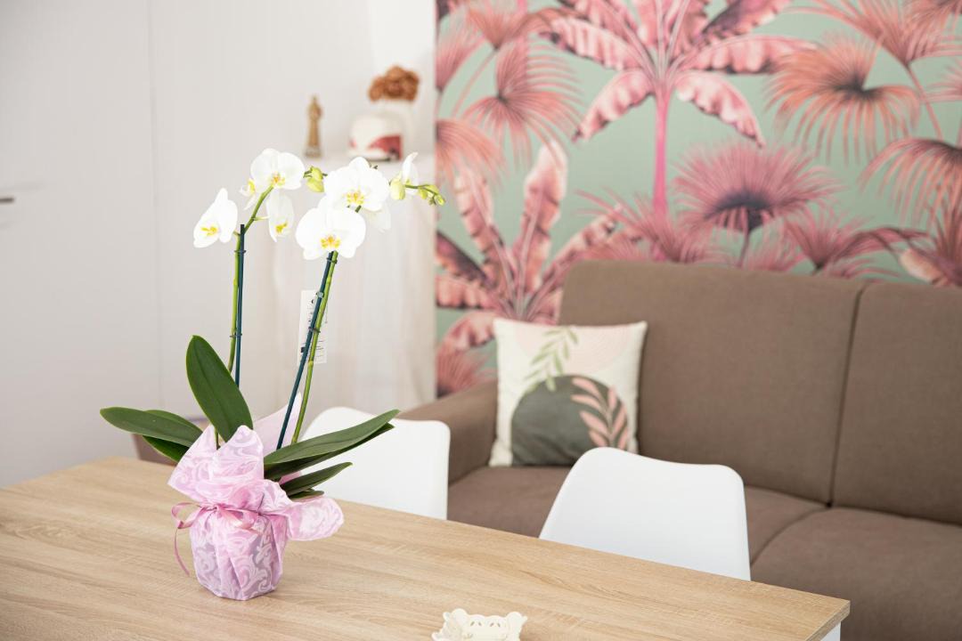 Photo of Livingroom in Gragnano