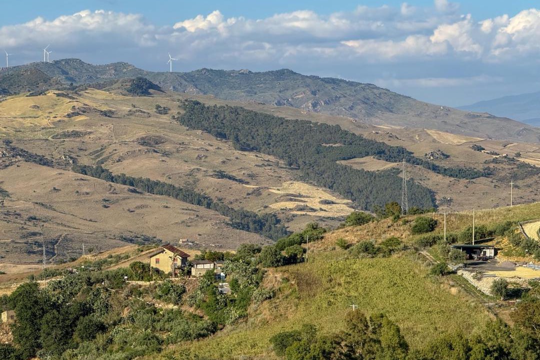 Photo of Others in Agira