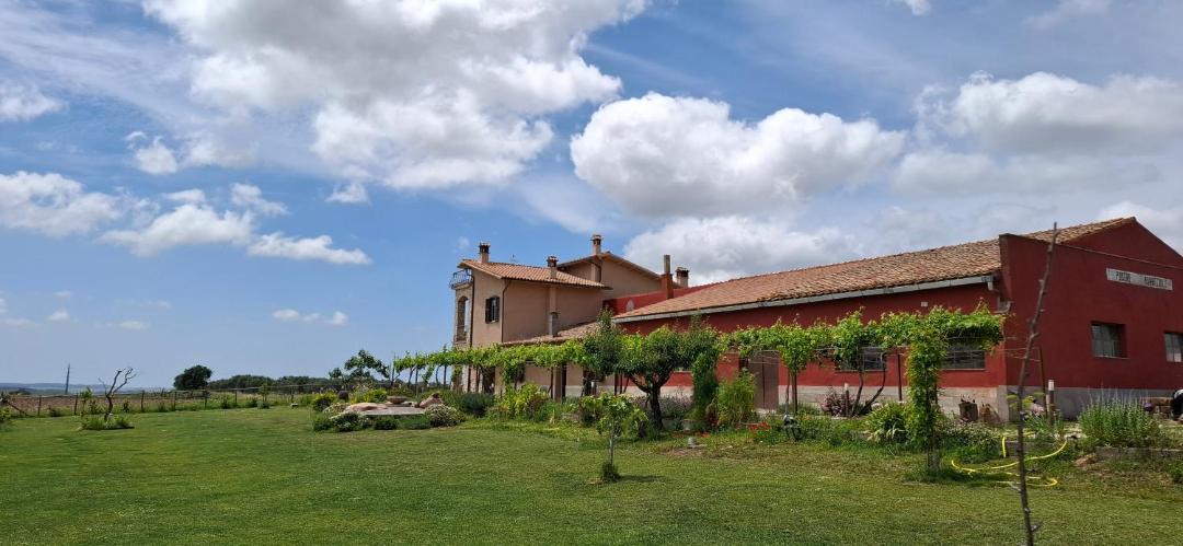 Photo of Others in Tuscania