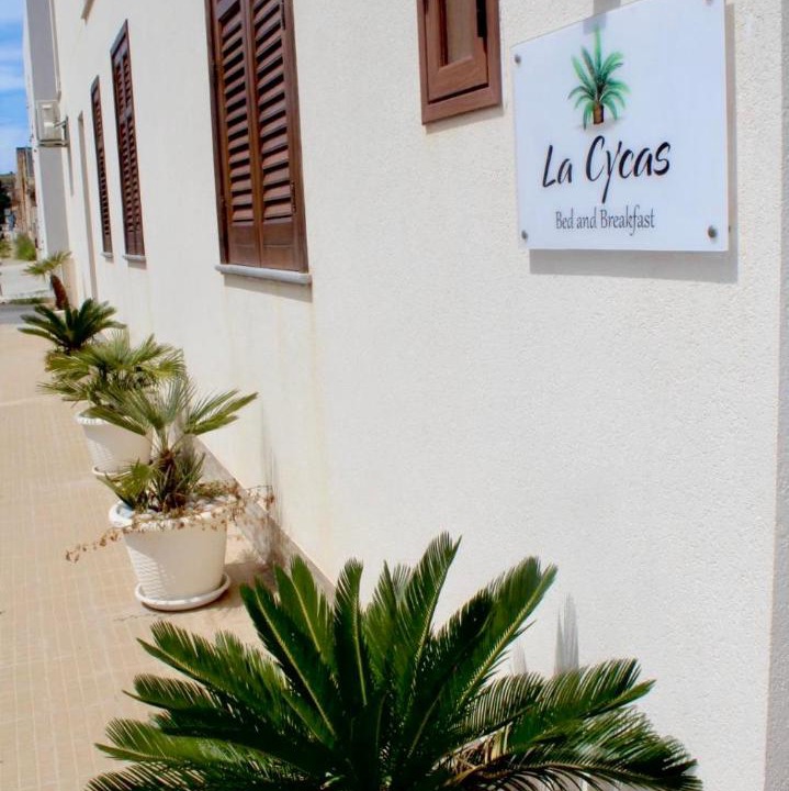 Photo of Others in San Vito Lo Capo