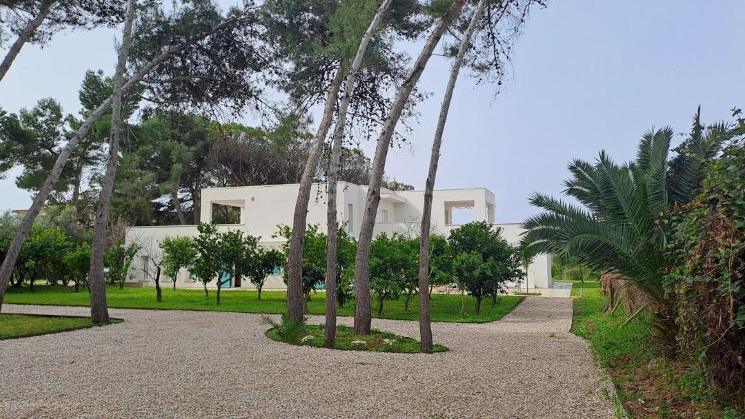 Photo of Others in Paestum