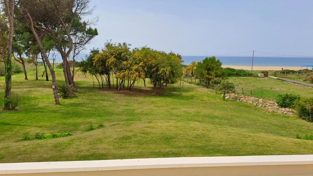 Photo of Others in Paestum