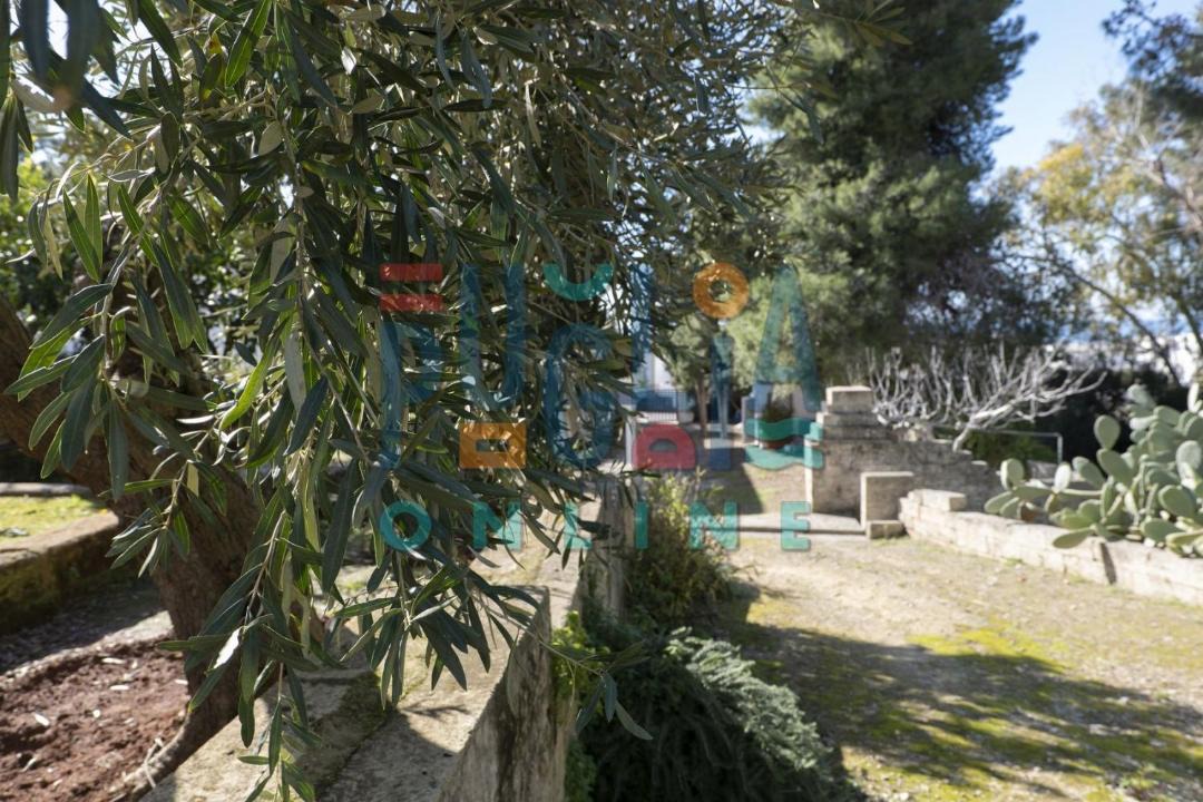 Photo of Others in Torre Vado