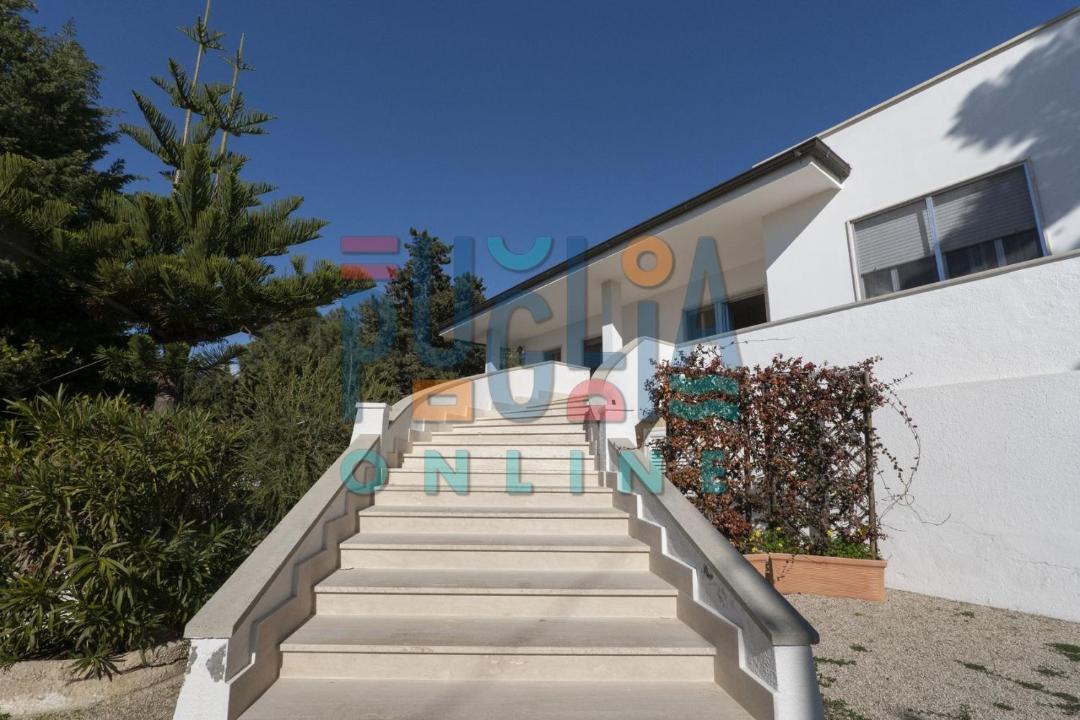 Photo of Others in Torre Vado