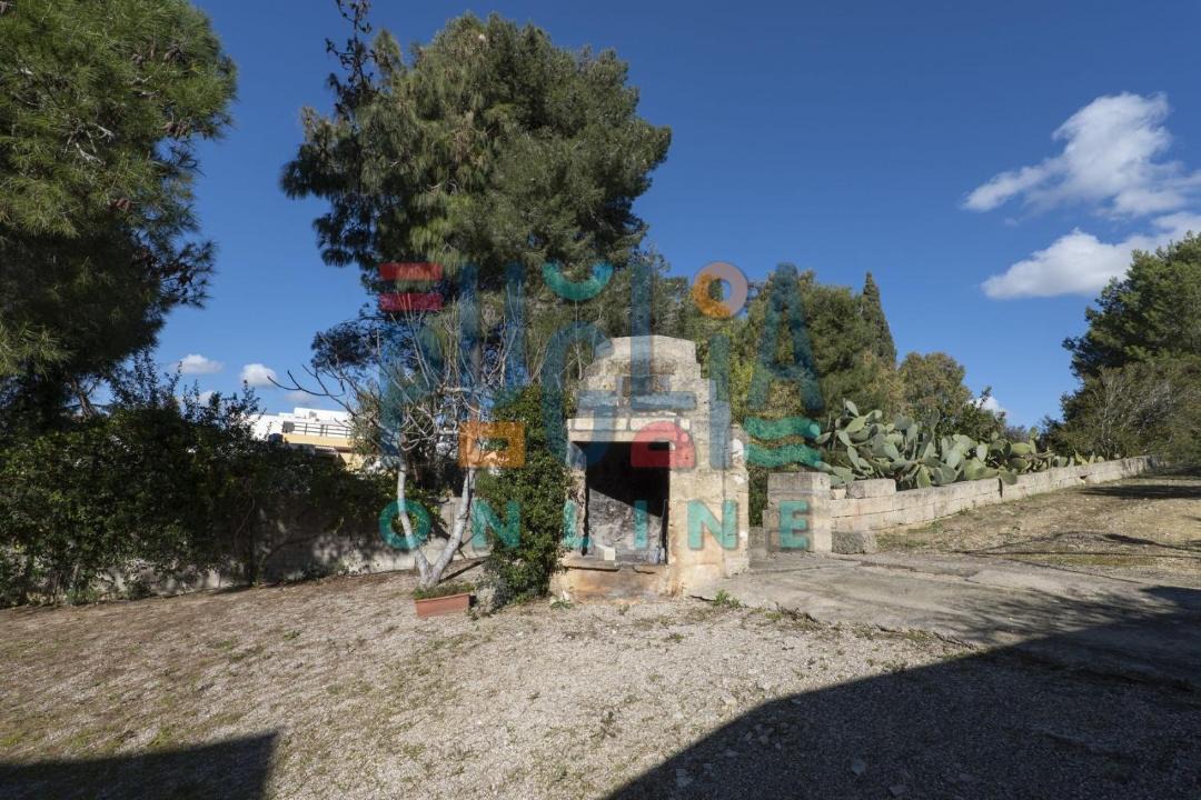 Photo of Others in Torre Vado