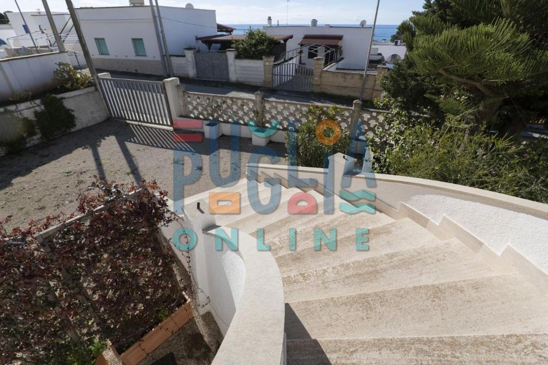 Photo of Others in Torre Vado
