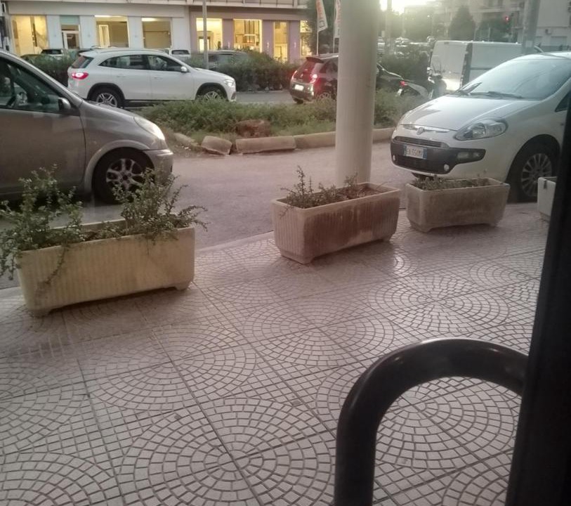Photo of Others in Tiche