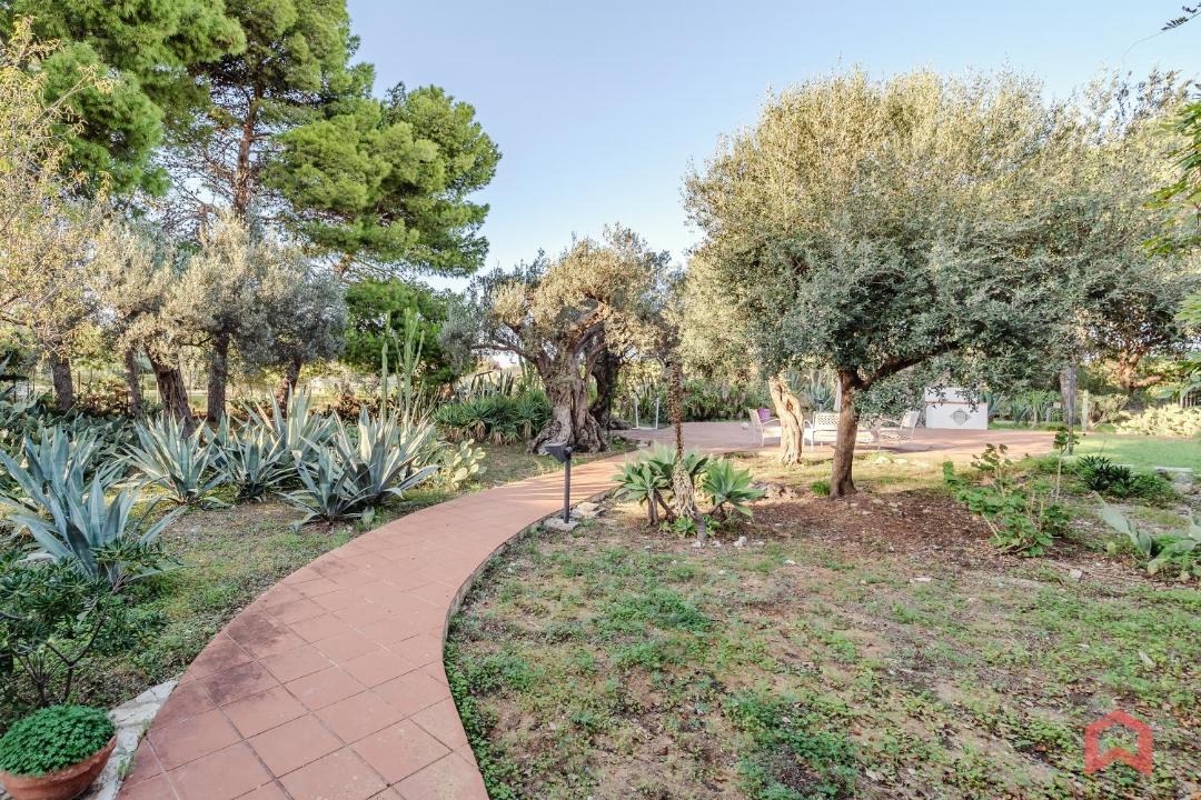 Photo of Others in Terrasini