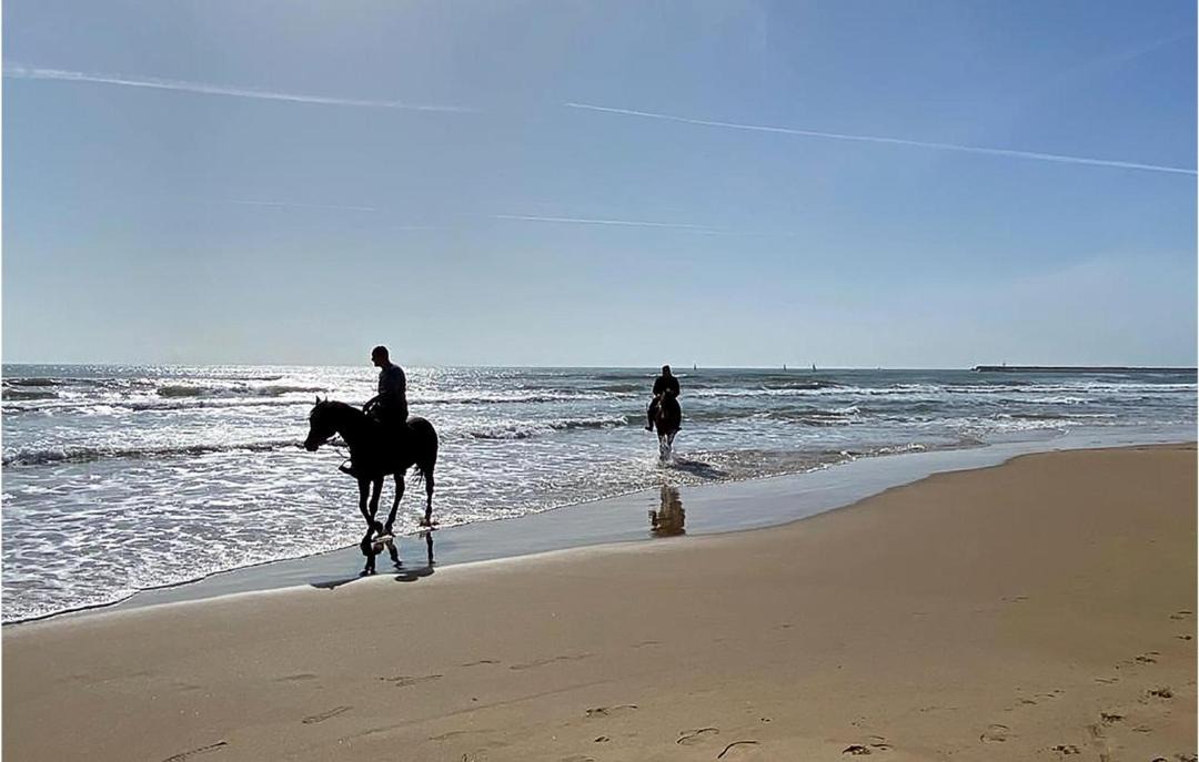 Photo of Human In Picture in Marina di Ragusa