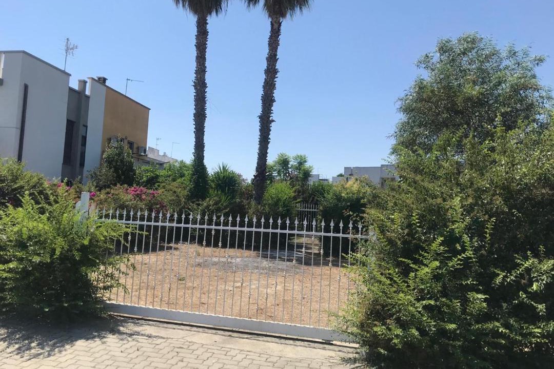 Photo of Others in Lido