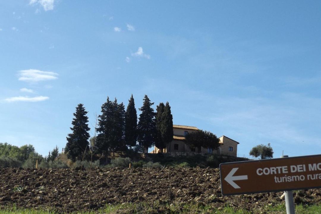 Photo of Others in Canicatti